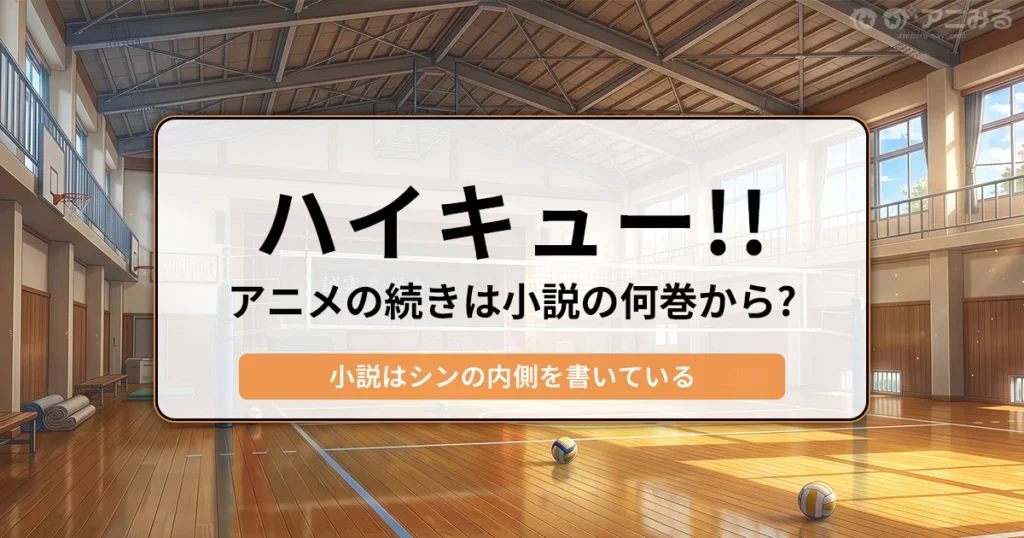 体育館を背景に「ハイキュー!! アニメの続きは小説の何巻から？ 小説はシンの内側を書いている」と書かれたバナー画像