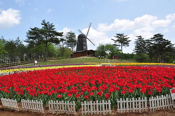 岩手県軽米町の丘陵地と公園の風景